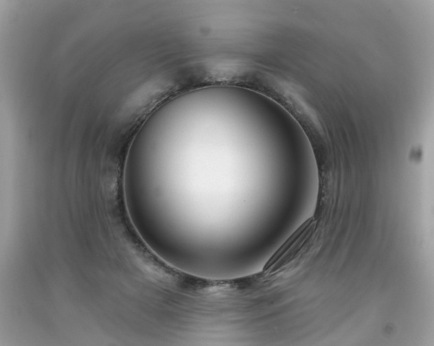 X0000091990505200709131457