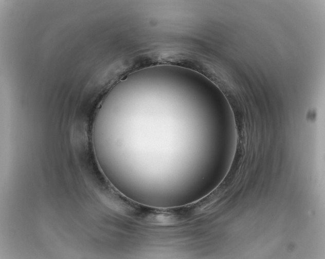 X0000091990506200709131457
