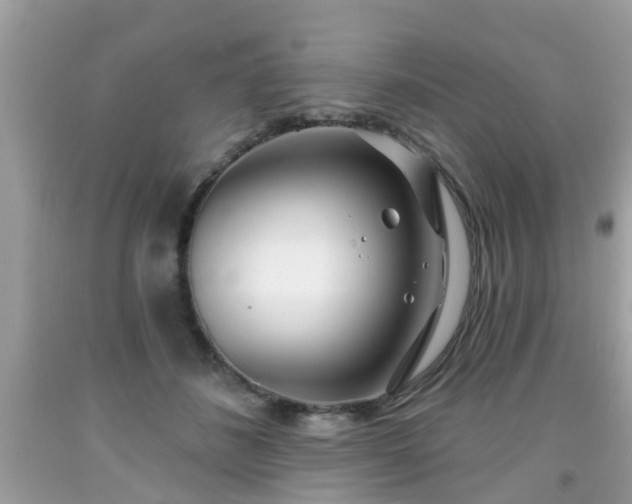 X0000091990508200709131456