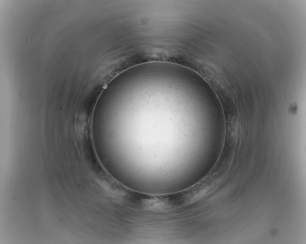 X0000091990511200709131456