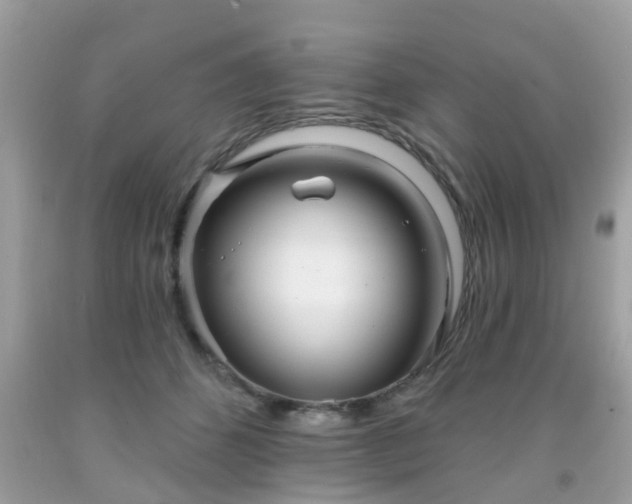 X0000091990512200709131456