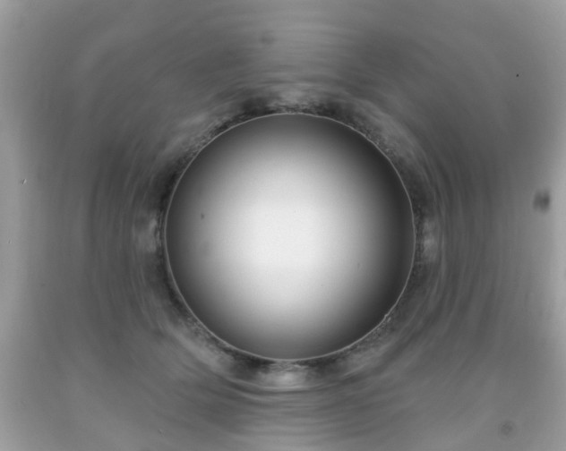 X0000091990514200709131456