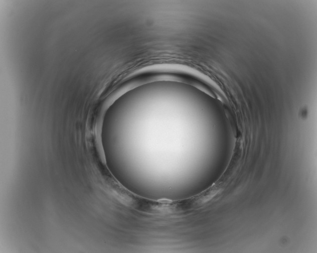 X0000091990516200709131456