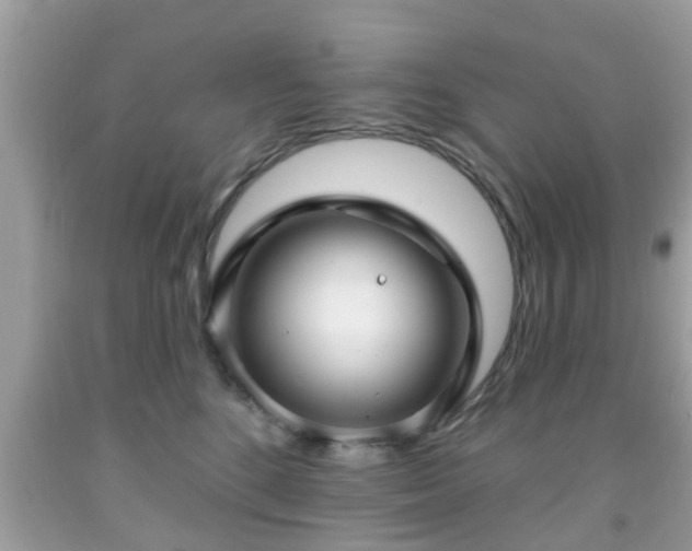 X0000091990520200709131456