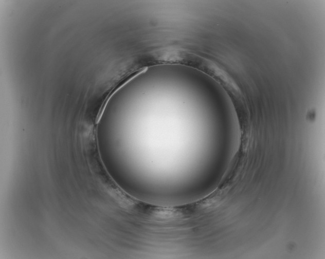 X0000091990521200709131456