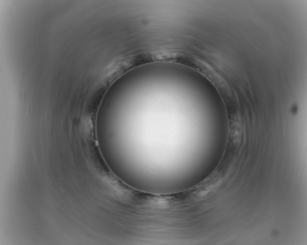 X0000091990523200709131456