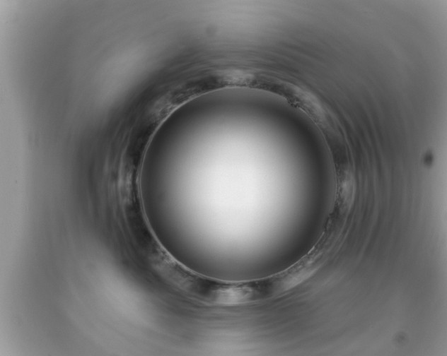 X0000091990525200709131456