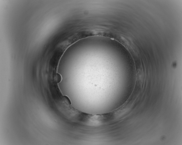 X0000091990527200709131456