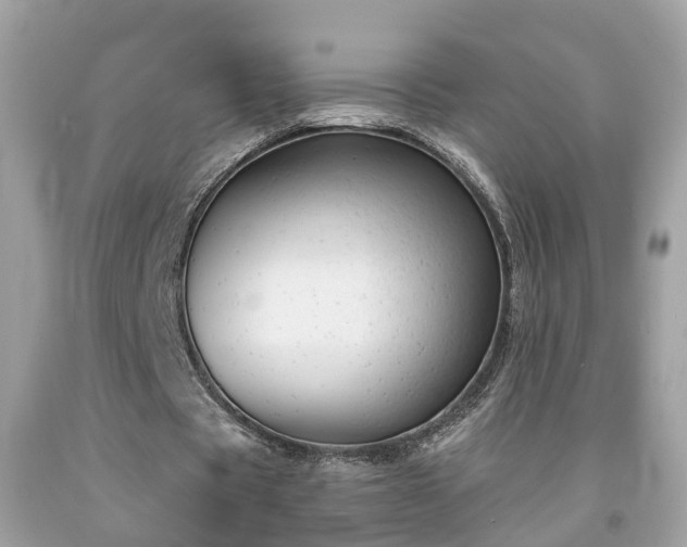 X0000091990529200709131456
