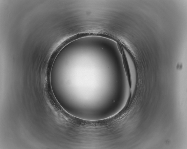 X0000091990532200709131456