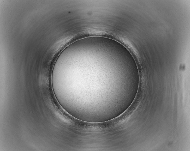 X0000091990533200709131456