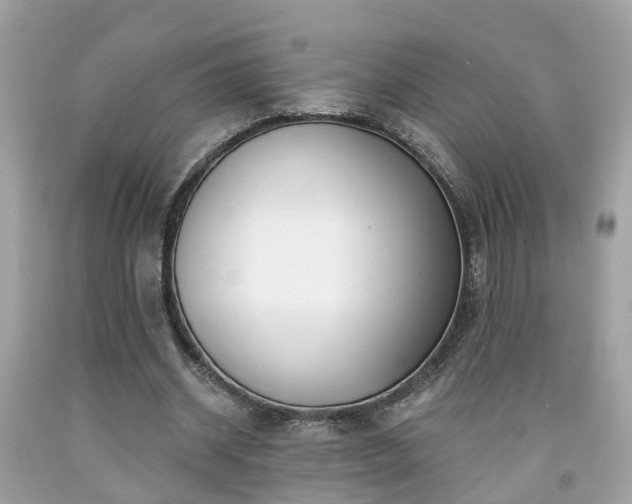 X0000091990534200709131456