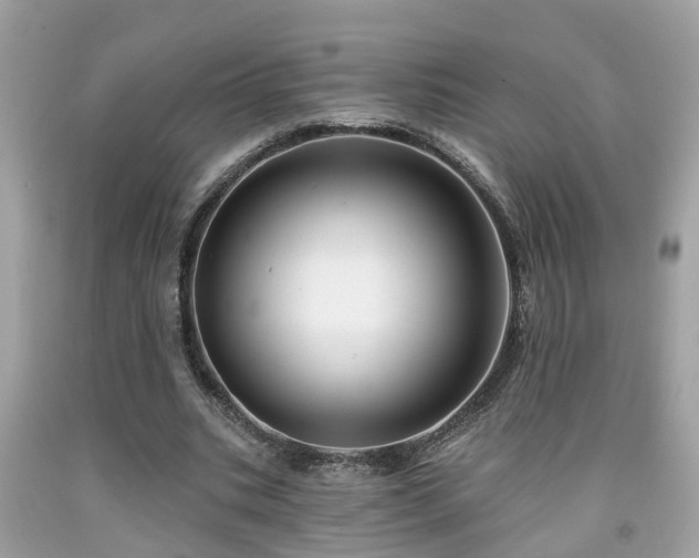 X0000091990535200709131456