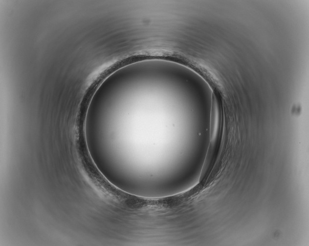 X0000091990536200709131456