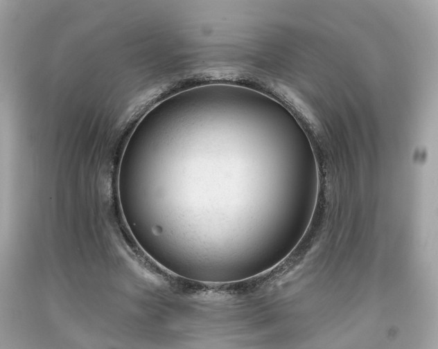 X0000091990537200709131456