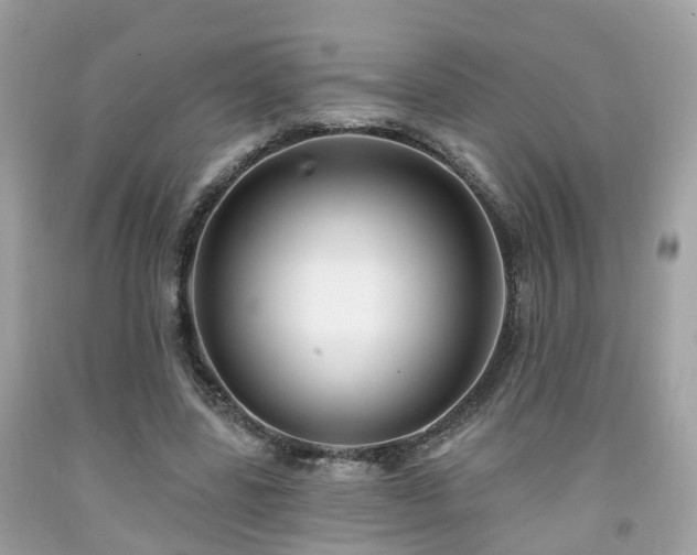 X0000091990539200709131456