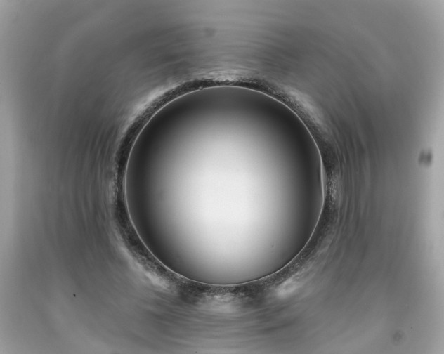 X0000091990540200709131456