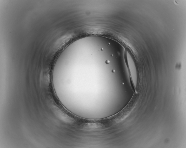 X0000091990541200709131456