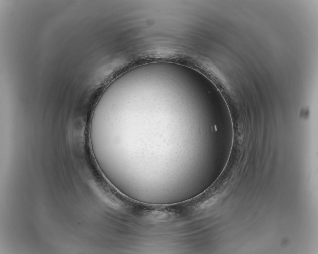 X0000091990542200709131456