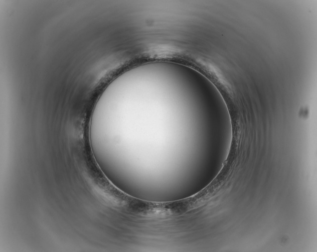 X0000091990543200709131456