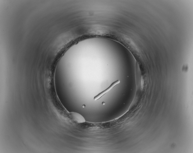 X0000091990544200709131456