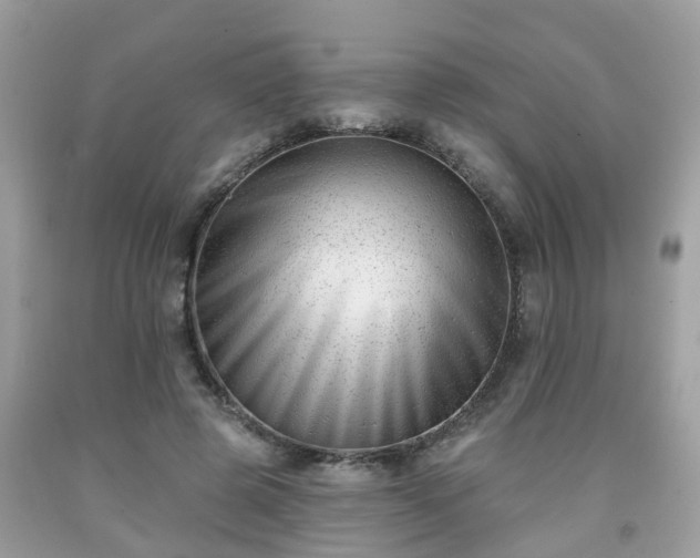 X0000091990545200709131456