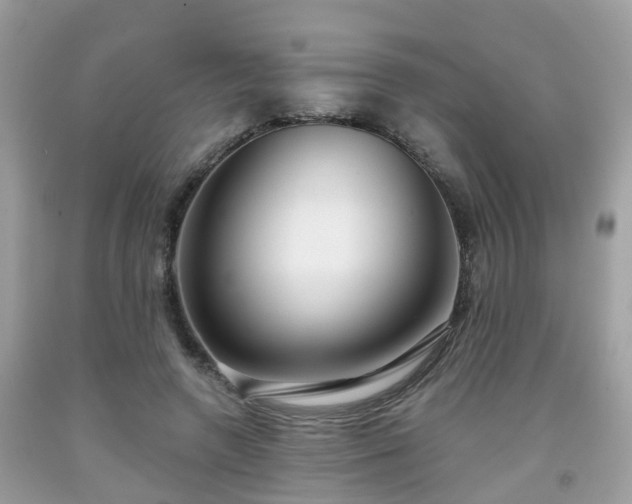 X0000091990546200709131456
