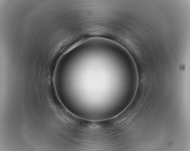 X0000091990547200709131456