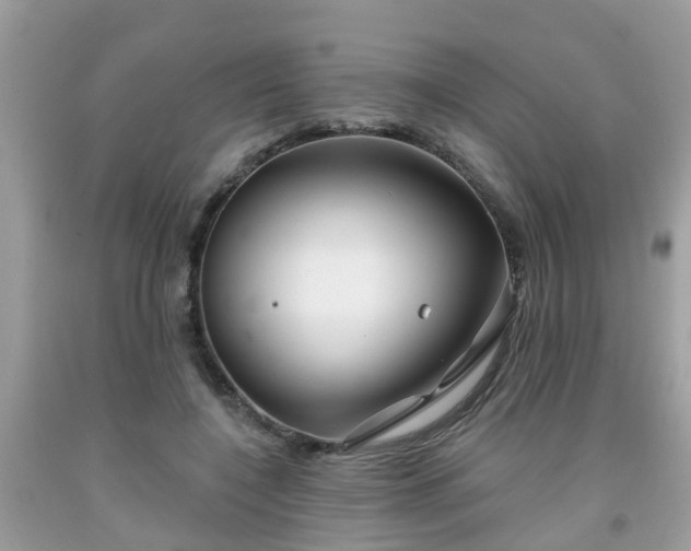 X0000091990548200709131456