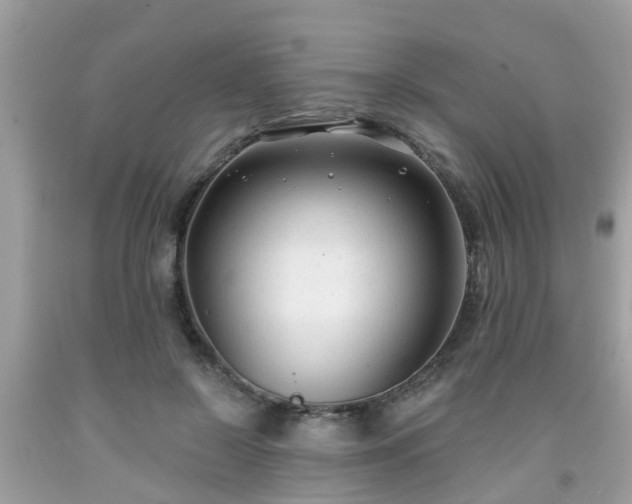X0000091990550200709131456