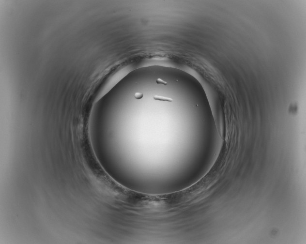 X0000091990552200709131456