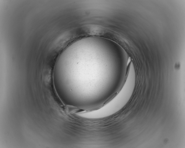 X0000091990554200709131456