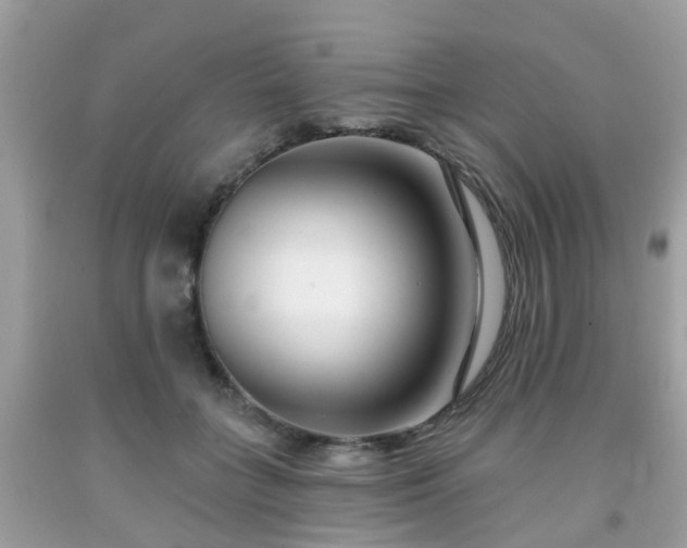 X0000091990555200709131456
