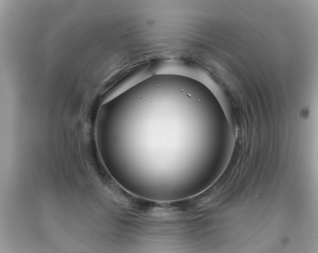X0000091990556200709131456