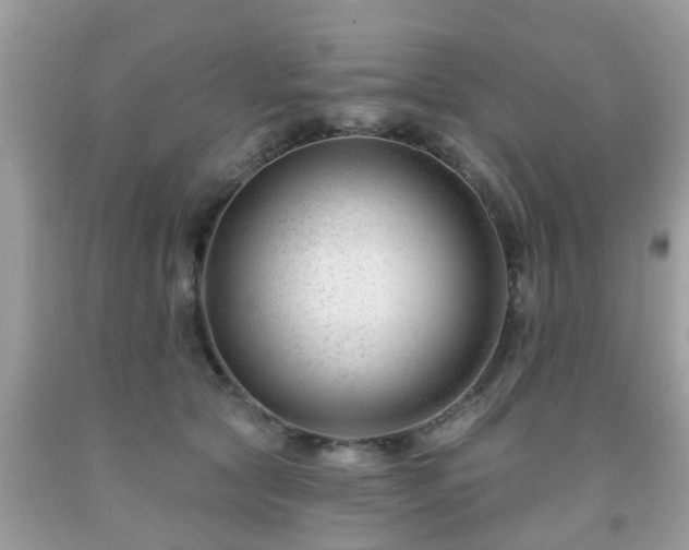 X0000091990561200709131456