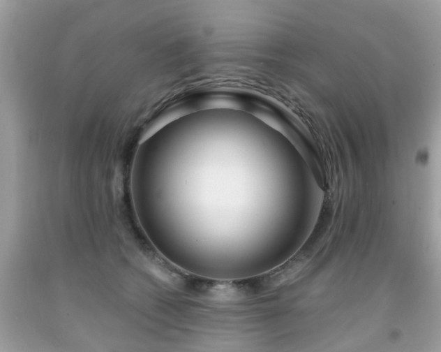 X0000091990562200709131456