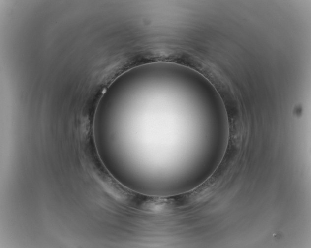 X0000091990563200709131456