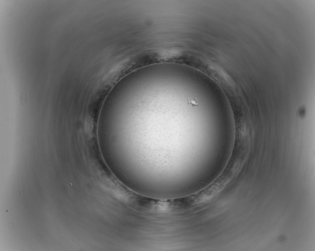 X0000091990565200709131456