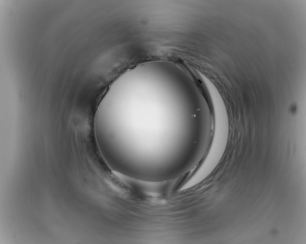 X0000091990566200709131456