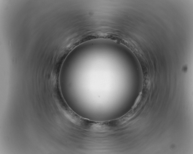 X0000091990568200709131456