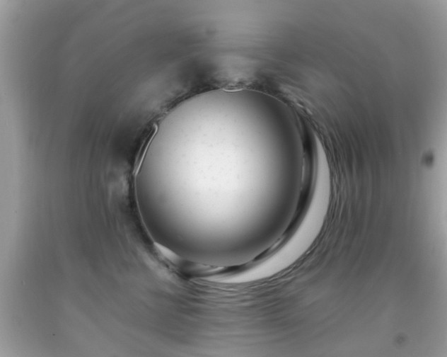 X0000091990570200709131456