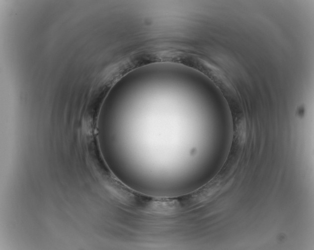 X0000091990571200709131456