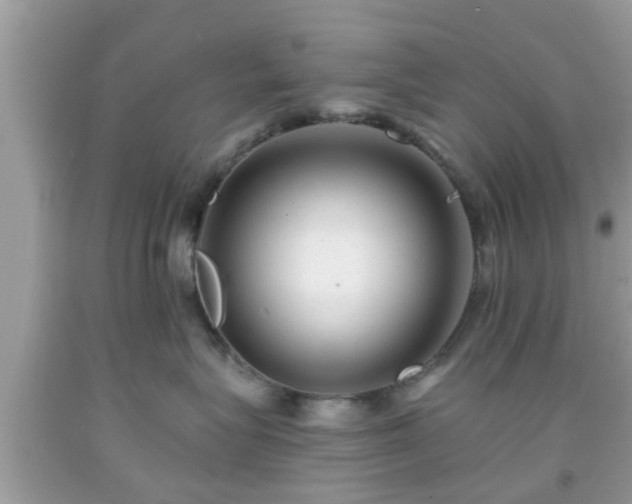 X0000091990575200709131456