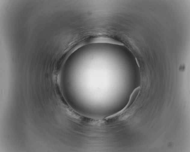 X0000091990576200709131456