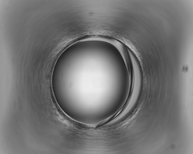 X0000091990577200709131456