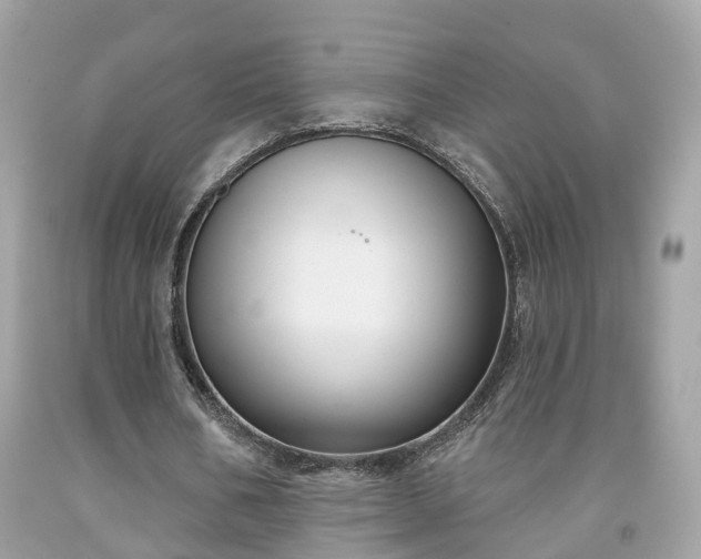 X0000091990578200709131456