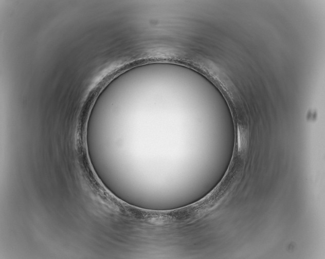 X0000091990579200709131456