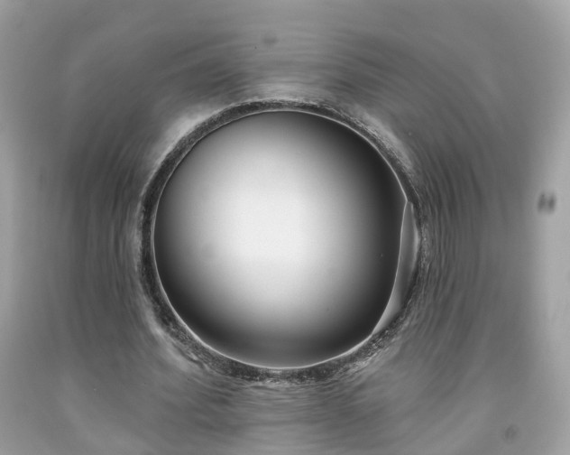 X0000091990580200709131456