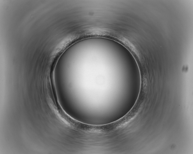 X0000091990581200709131456