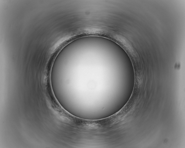 X0000091990583200709131456
